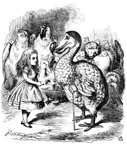 Patrick Vermeren over het Dodo-bird effect