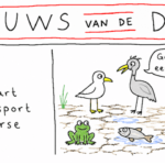 Nieuwsvandedag 17