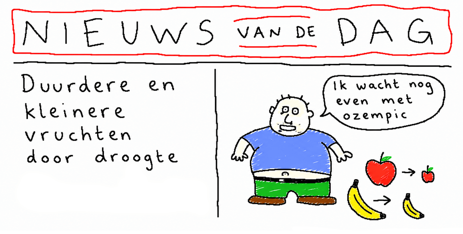 Nieuws van de dag 13