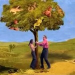 Van man naar vrouw en weer terug (Anima rising 2)