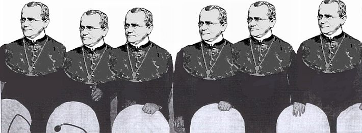 Gregor Mendel…